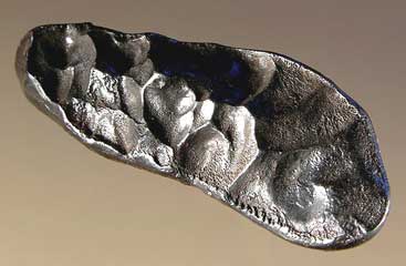 Meteorite with rollover lip