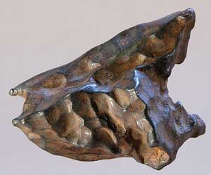 Iron meteorite with regmagylpts