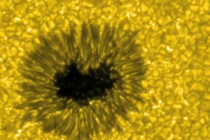 Sunspot and granulation from Hinode