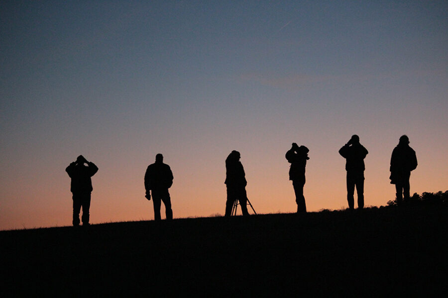 Stargazers