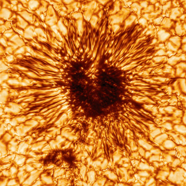 Sunspot, in detail