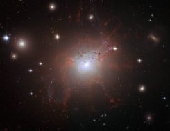 Hubble Space Telescope view of NGC 1275