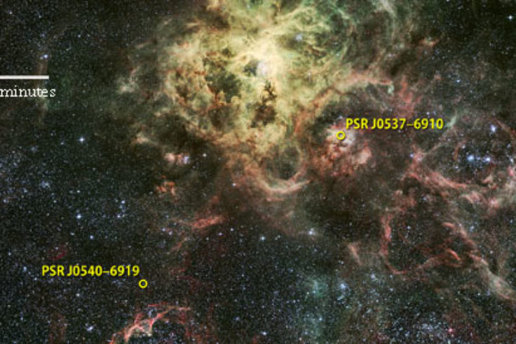 Tarantula Nebula pulsars