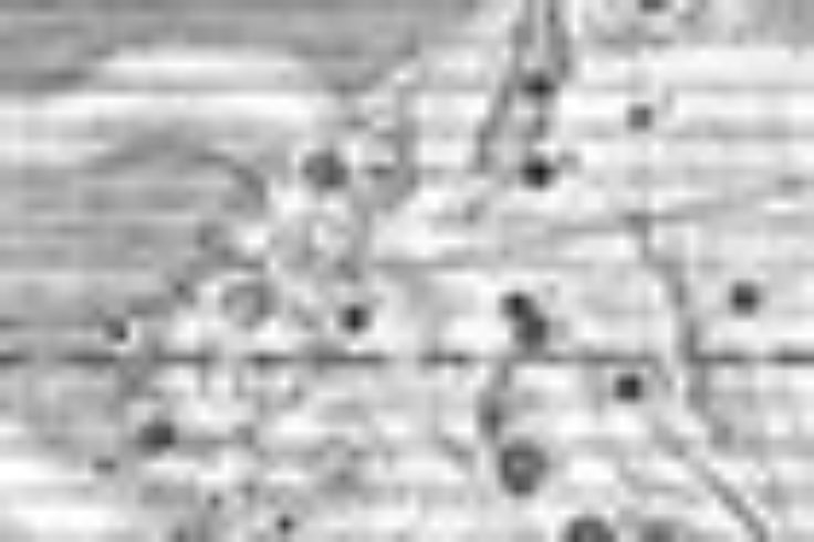 Taurus constellation