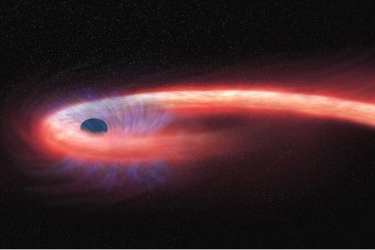 torn-apart star's innards spiral around black hole