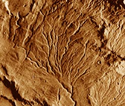 Martian valley network