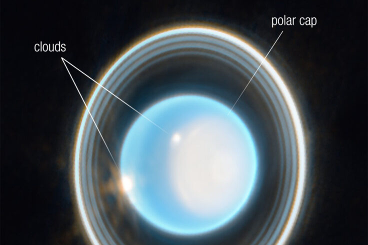 The planet Uranus on a black background. The planet appears light blue with a large, white patch on the right side. The image is labelled to indicate the locations of the planet’s clouds, polar cap, and zeta ring
