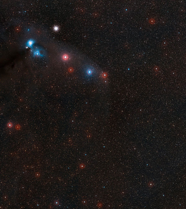 Wide-field view of neutron star RX J1856.5-3754